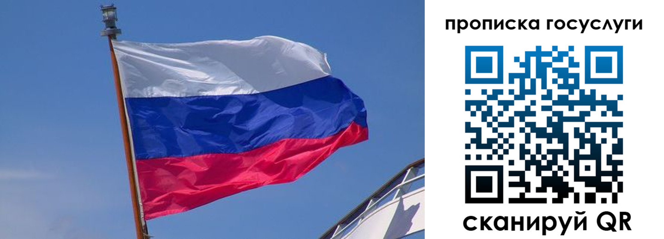 регистрация в Пионерском